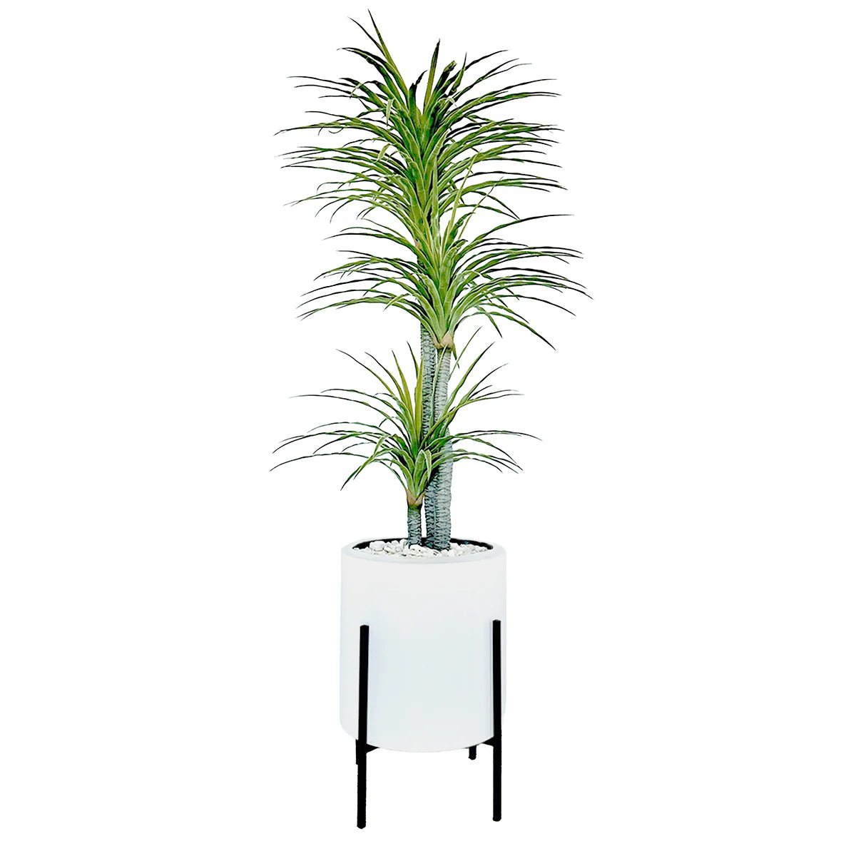 DRACENA ARTIFICIAL - VERANDA INTERIORES