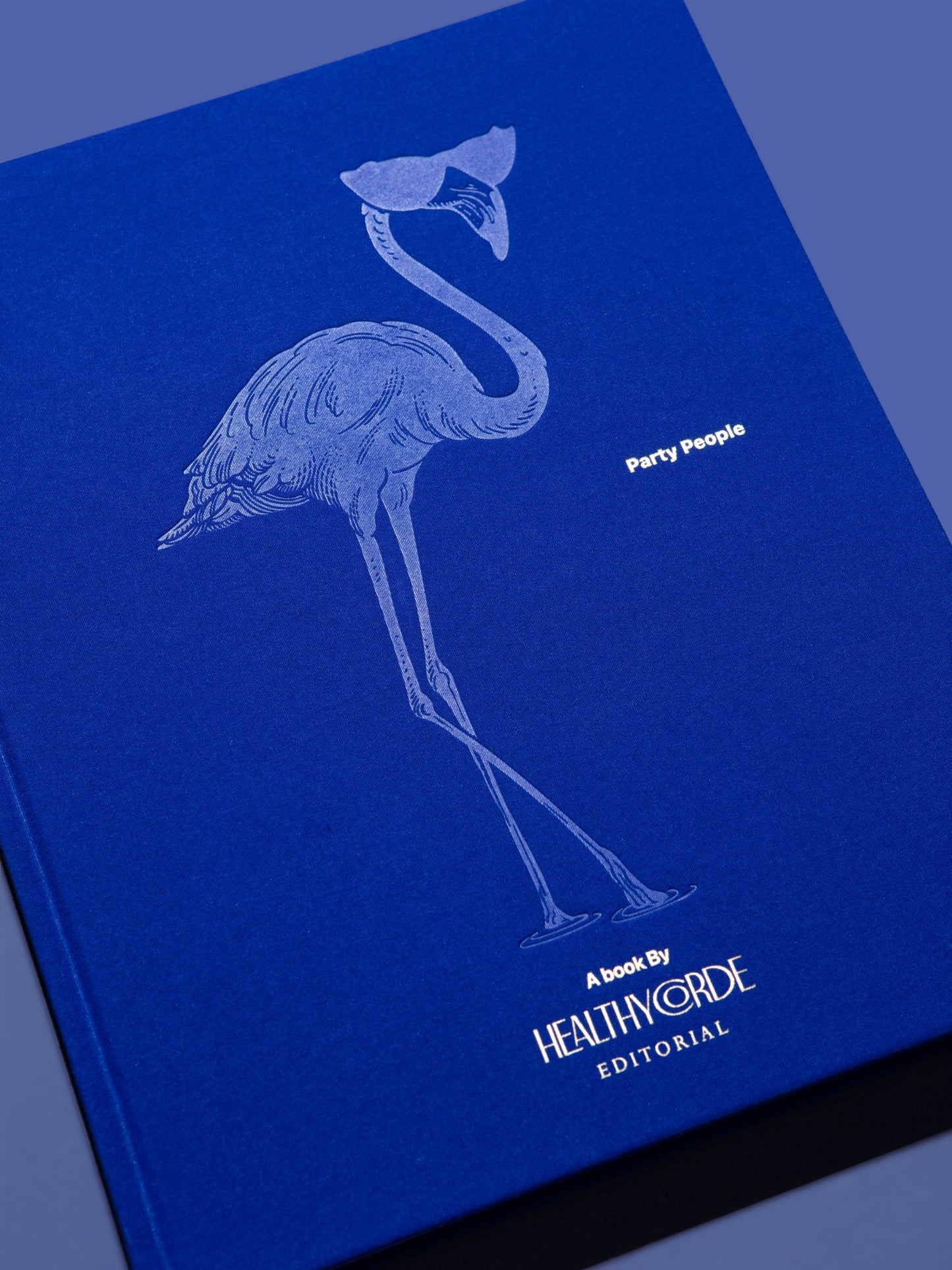 LIBRO "PARTY PEOPLE" HEALTHYCORDE - VERANDA INTERIORES