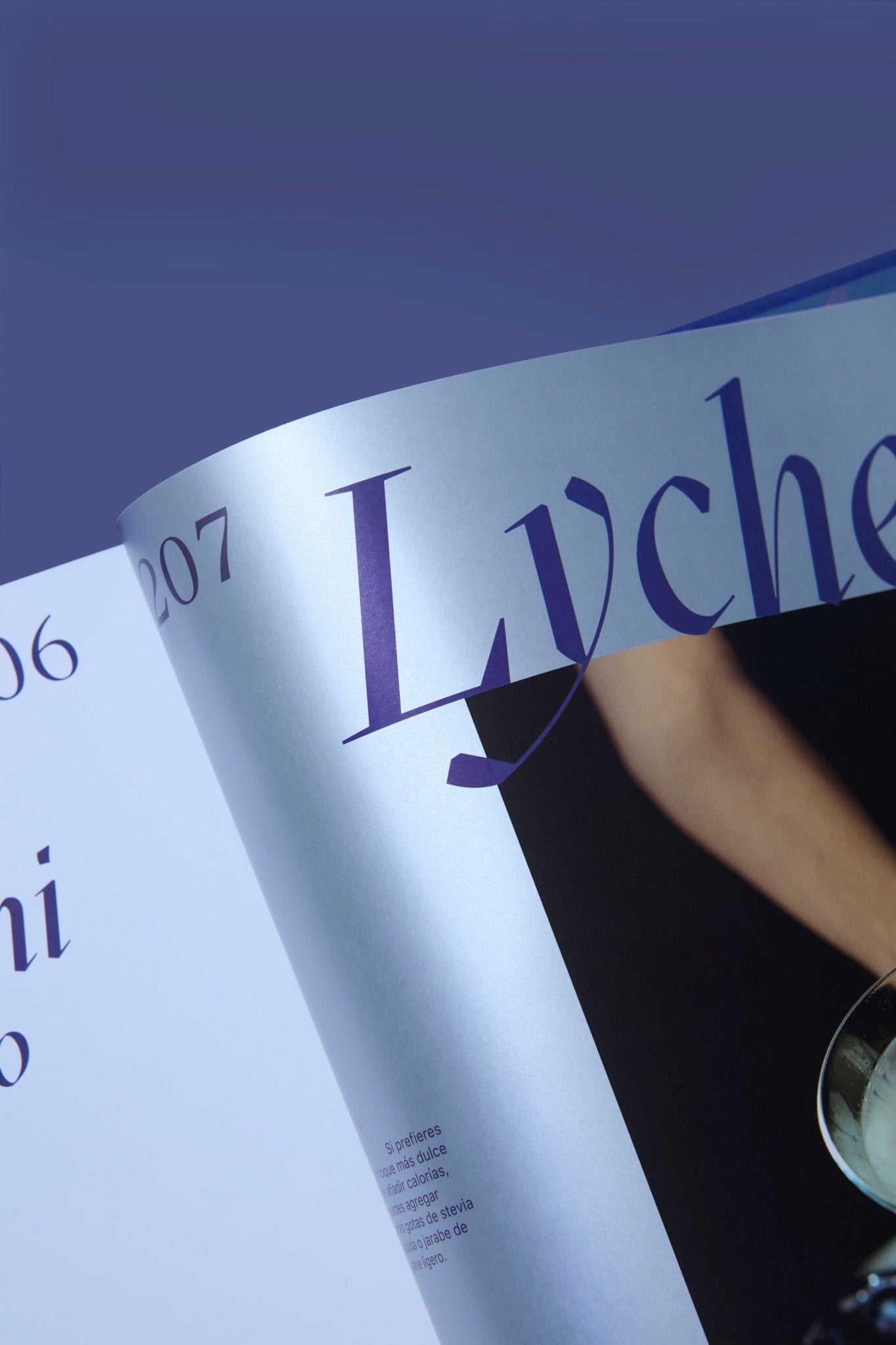 LIBRO "PARTY PEOPLE" HEALTHYCORDE - VERANDA INTERIORES