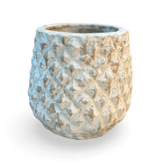 MACETA PIÑA - VERANDA INTERIORES