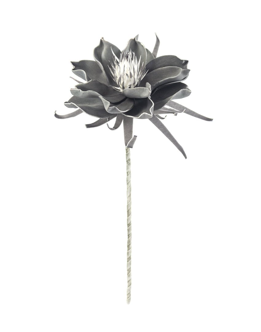 FLOR ESPUMA DE PANDULA - VERANDA INTERIORES