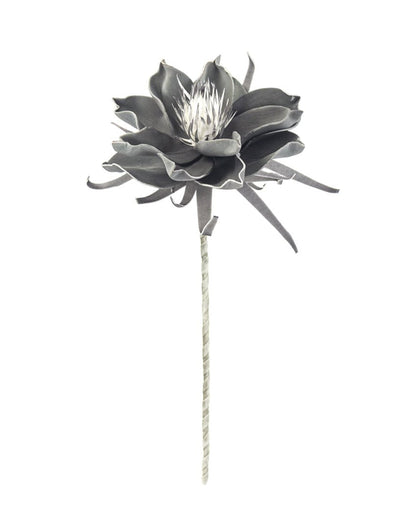 FLOR ESPUMA DE PANDULA - VERANDA INTERIORES