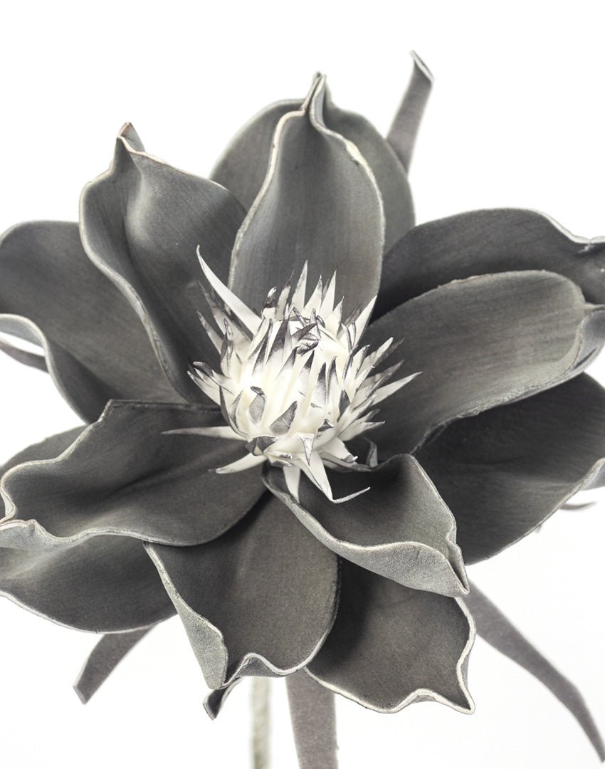 FLOR ESPUMA DE PANDULA - VERANDA INTERIORES