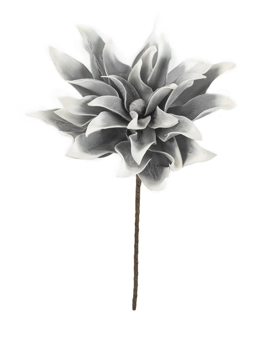 RAMA DAHLIA GRAY - VERANDA INTERIORES