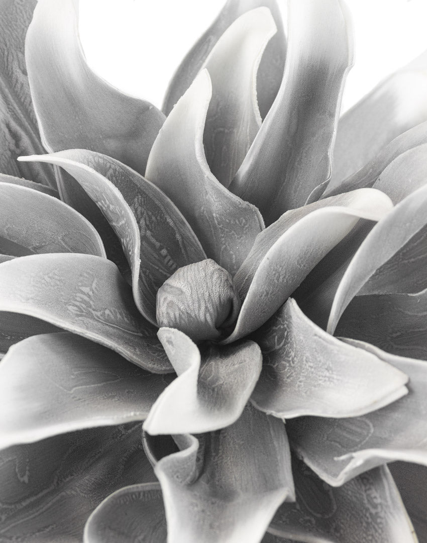 RAMA DAHLIA GRAY - VERANDA INTERIORES