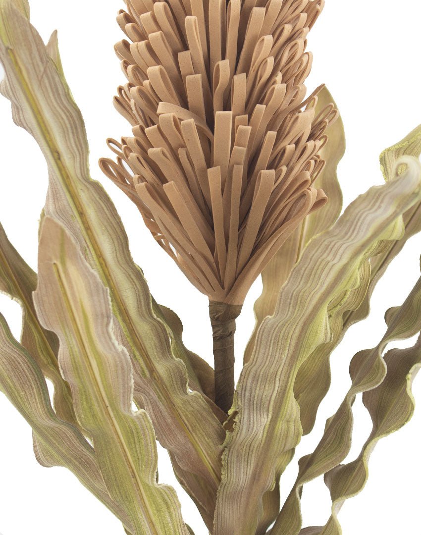 RAMA PROTEA - VERANDA INTERIORES