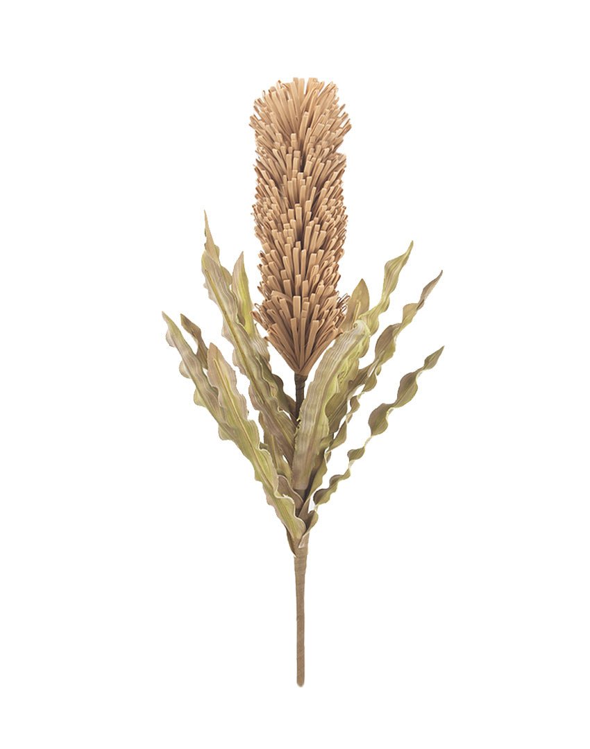 RAMA PROTEA - VERANDA INTERIORES