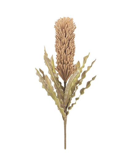 RAMA PROTEA - VERANDA INTERIORES