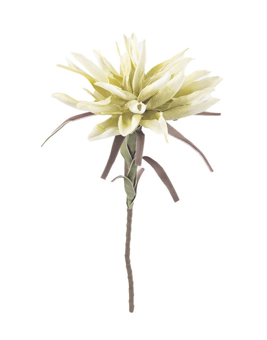 RAMA TROPICAL CREAM - VERANDA INTERIORES