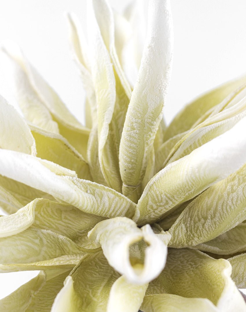 RAMA TROPICAL CREAM - VERANDA INTERIORES