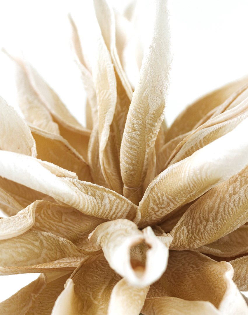 RAMA TROPICAL MD OSCURO - VERANDA INTERIORES