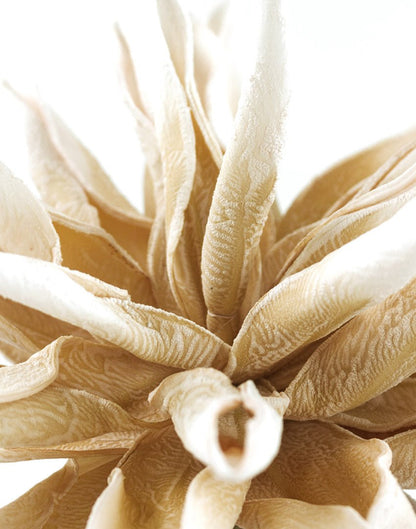 RAMA TROPICAL MD OSCURO - VERANDA INTERIORES