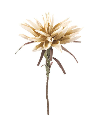 RAMA TROPICAL MD OSCURO - VERANDA INTERIORES