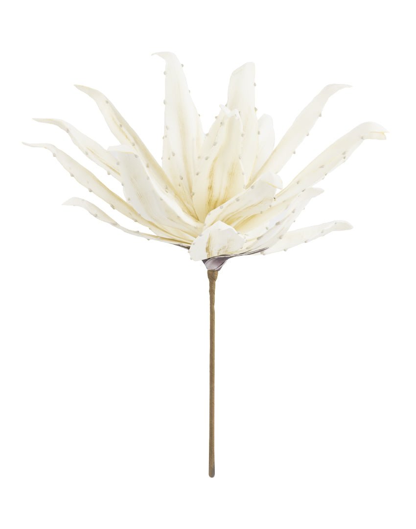 RAMA YUCCA CREAM - VERANDA INTERIORES