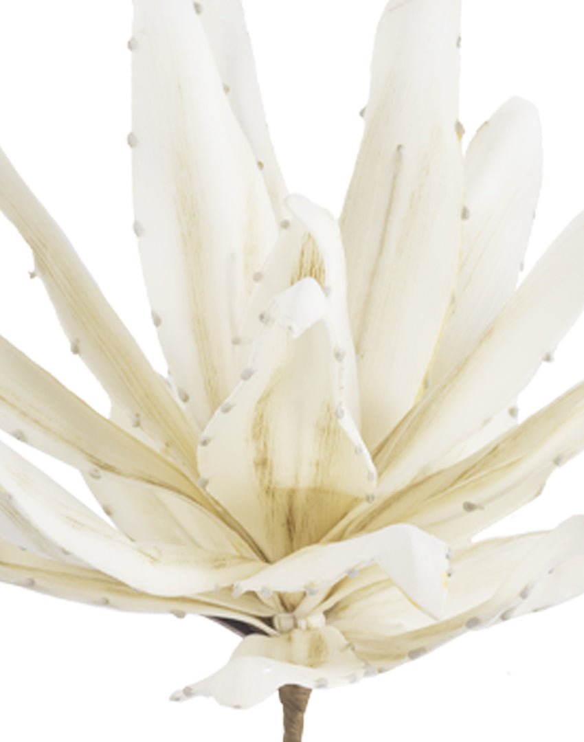 RAMA YUCCA CREAM - VERANDA INTERIORES