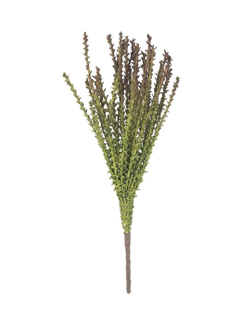 TALLO DE FLOR DE PALMA - VERANDA INTERIORES