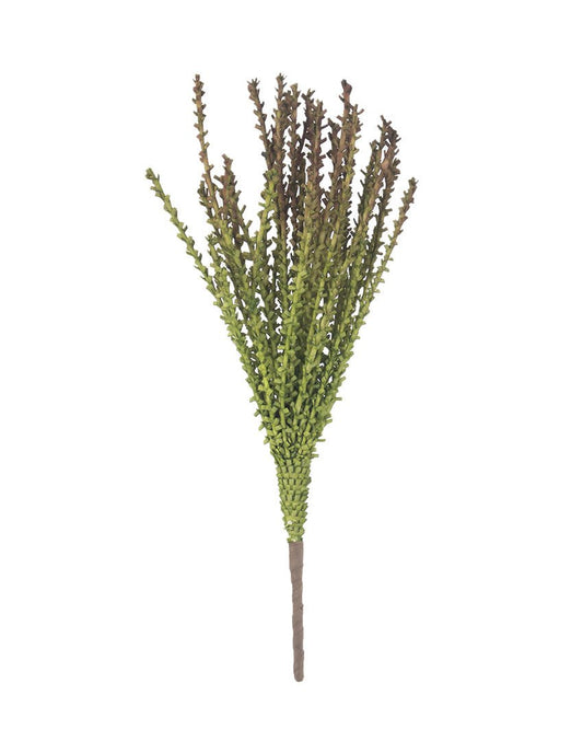 TALLO DE FLOR DE PALMA - VERANDA INTERIORES